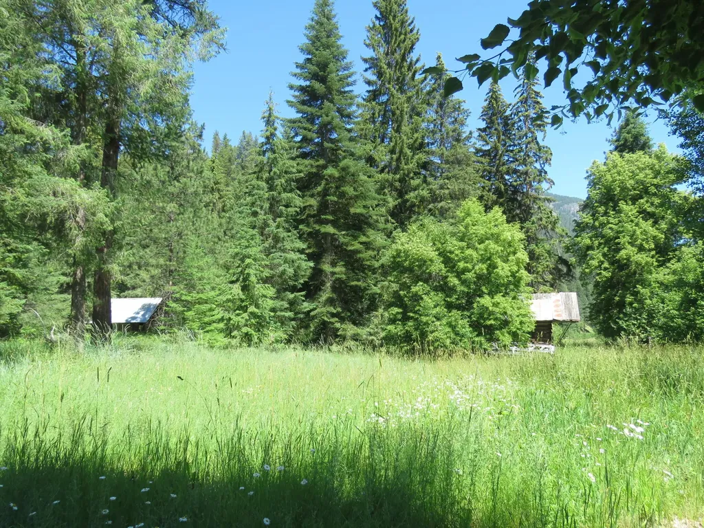 2013 Five Mile Creek Road Libby MT 59923