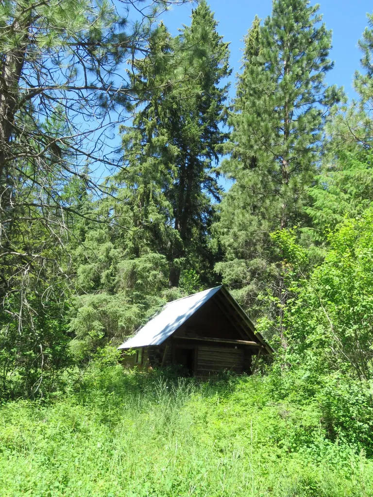 2013 Five Mile Creek Road Libby MT 59923