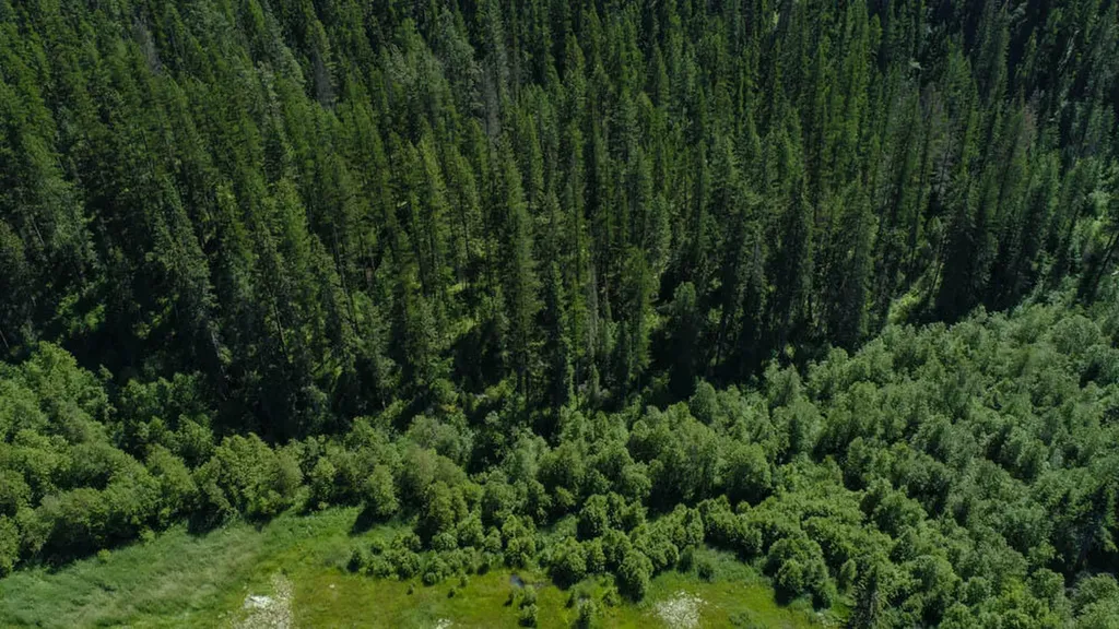 2013 Five Mile Creek Road Libby MT 59923