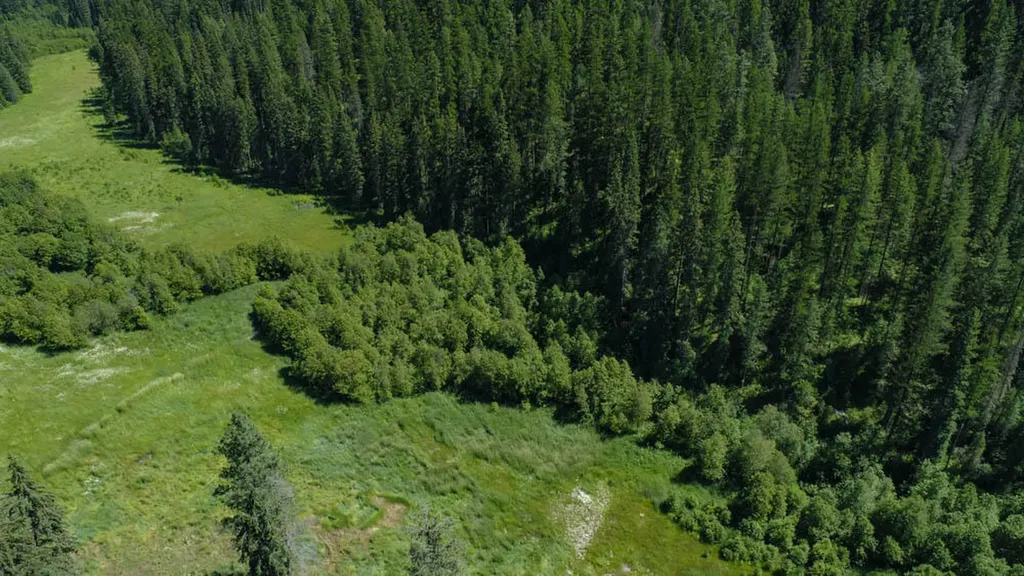 2013 Five Mile Creek Road Libby MT 59923