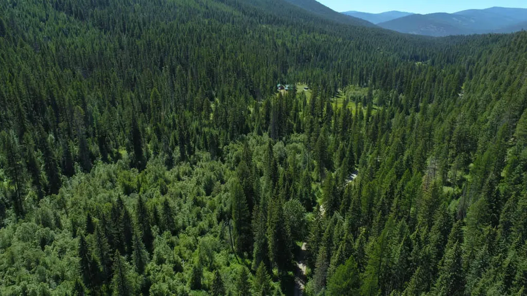 2013 Five Mile Creek Road Libby MT 59923