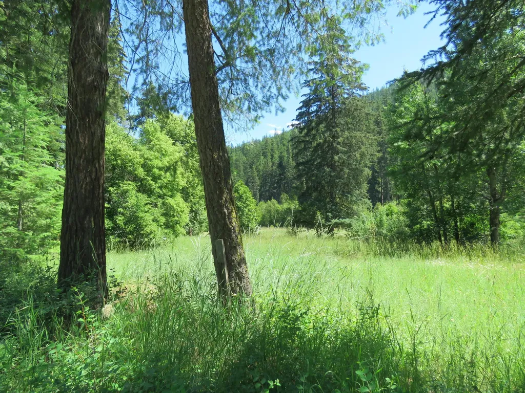2013 Five Mile Creek Road Libby MT 59923