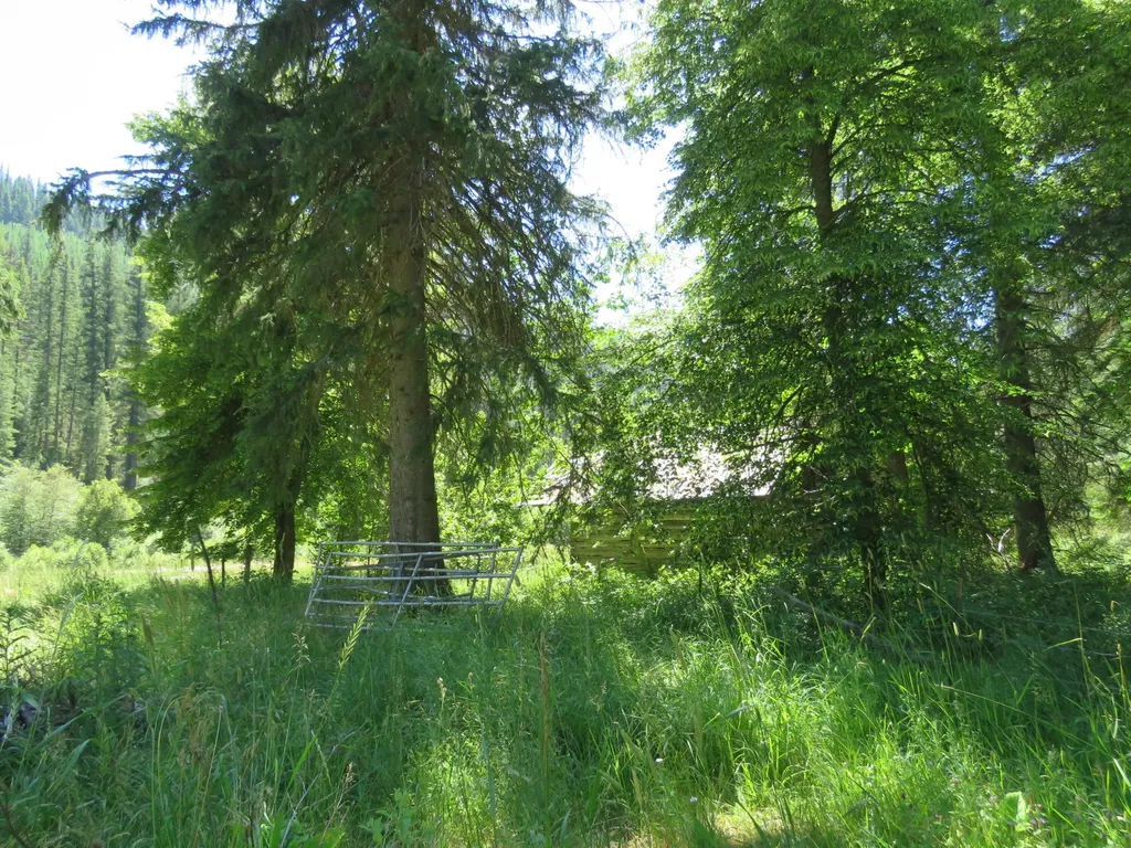 2013 Five Mile Creek Road Libby MT 59923