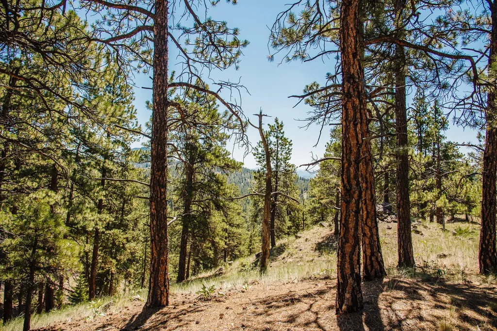 Lot 23 Dearborn River Road Cascade MT 59421