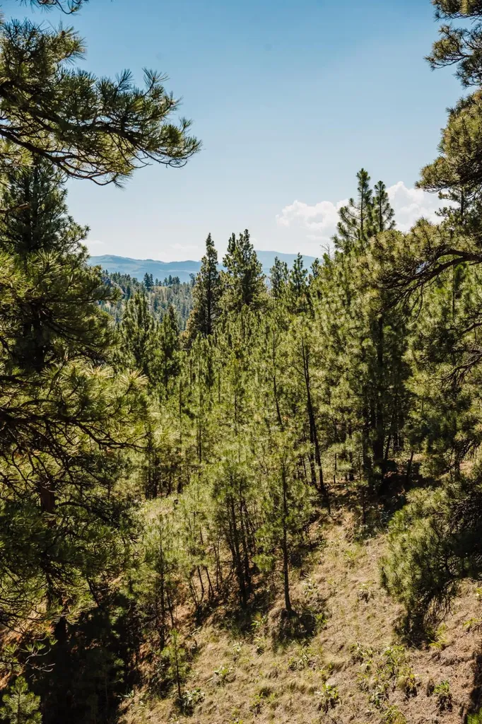 Lot 23 Dearborn River Road Cascade MT 59421