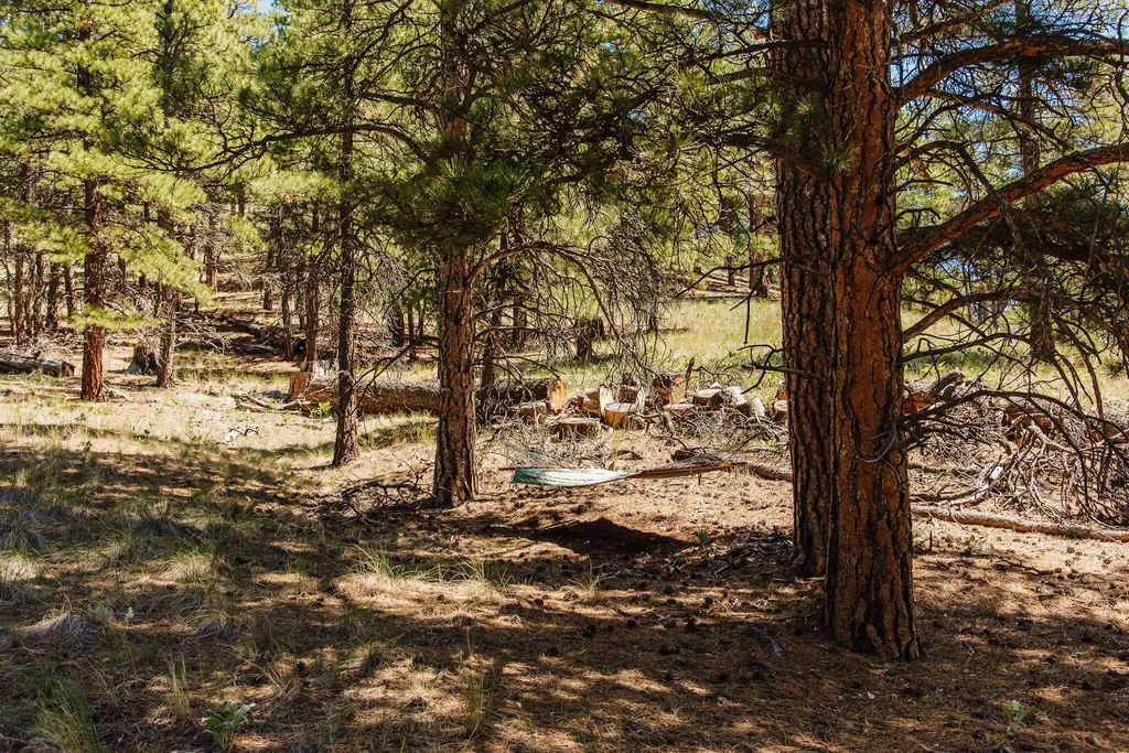 Lot 23 Dearborn River Road Cascade MT 59421