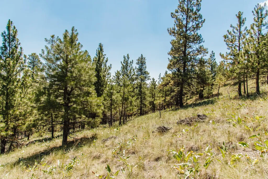 Lot 23 Dearborn River Road Cascade MT 59421
