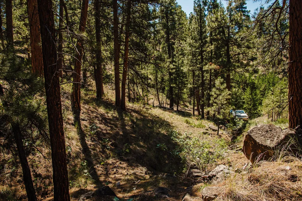 Lot 23 Dearborn River Road Cascade MT 59421