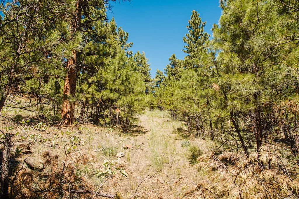 Lot 23 Dearborn River Road Cascade MT 59421