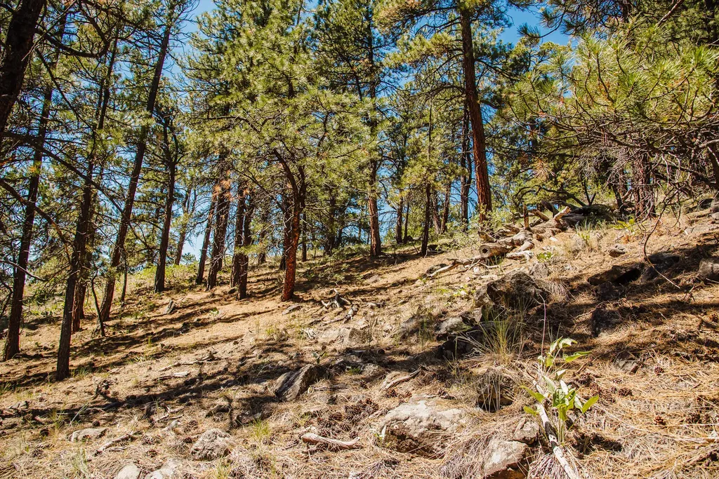 Lot 23 Dearborn River Road Cascade MT 59421