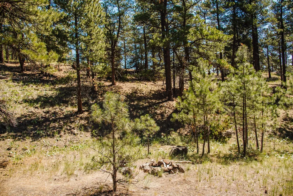 Lot 23 Dearborn River Road Cascade MT 59421