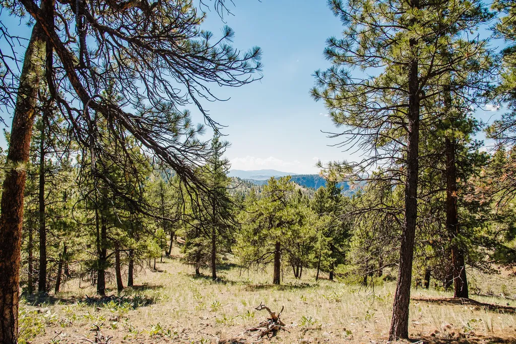 Lot 23 Dearborn River Road Cascade MT 59421