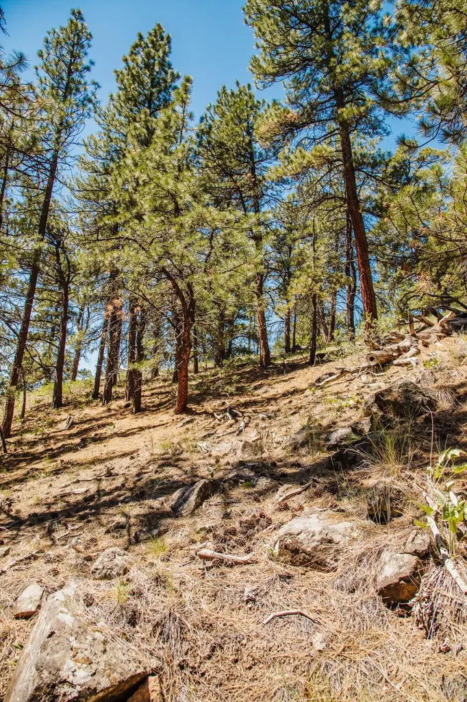 Lot 23 Dearborn River Road Cascade MT 59421