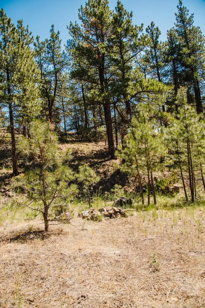 Lot 23 Dearborn River Road Cascade MT 59421