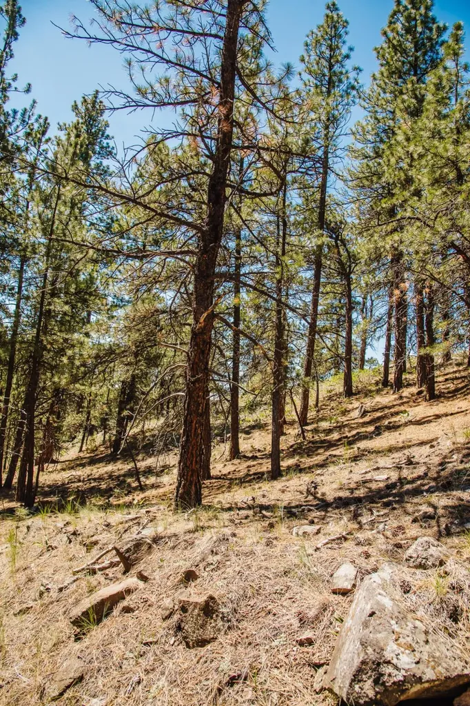 Lot 23 Dearborn River Road Cascade MT 59421