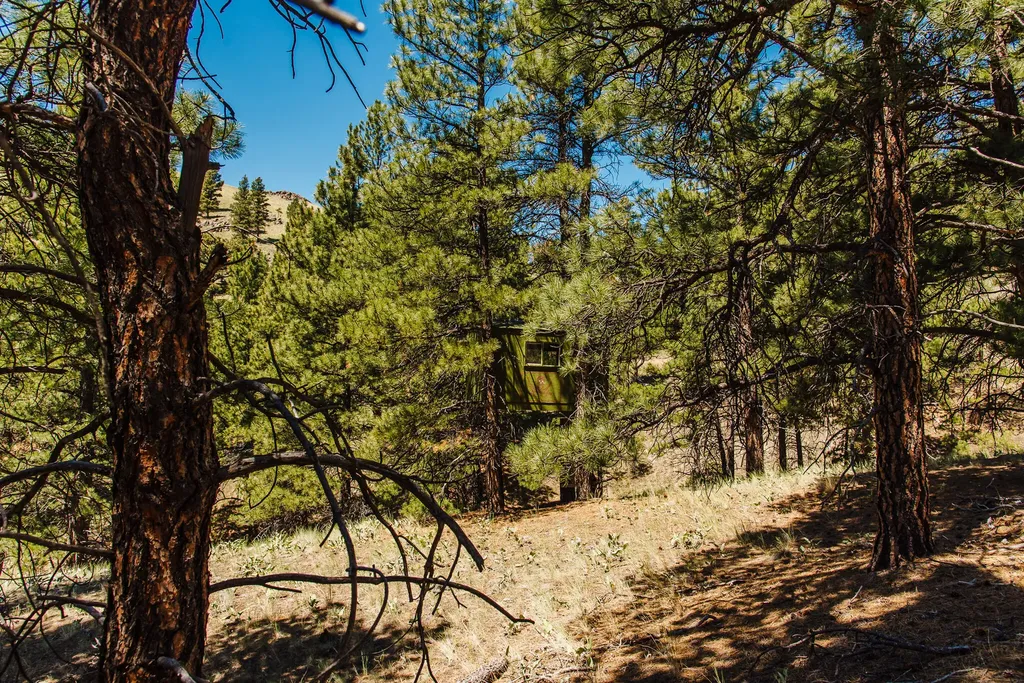 Lot 23 Dearborn River Road Cascade MT 59421