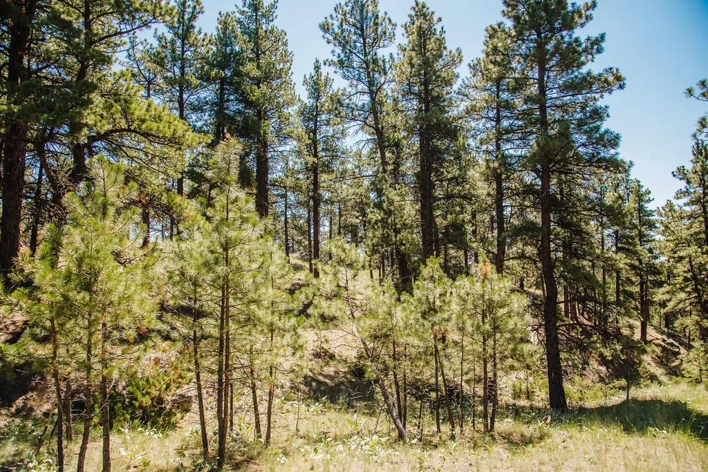 Lot 23 Dearborn River Road Cascade MT 59421