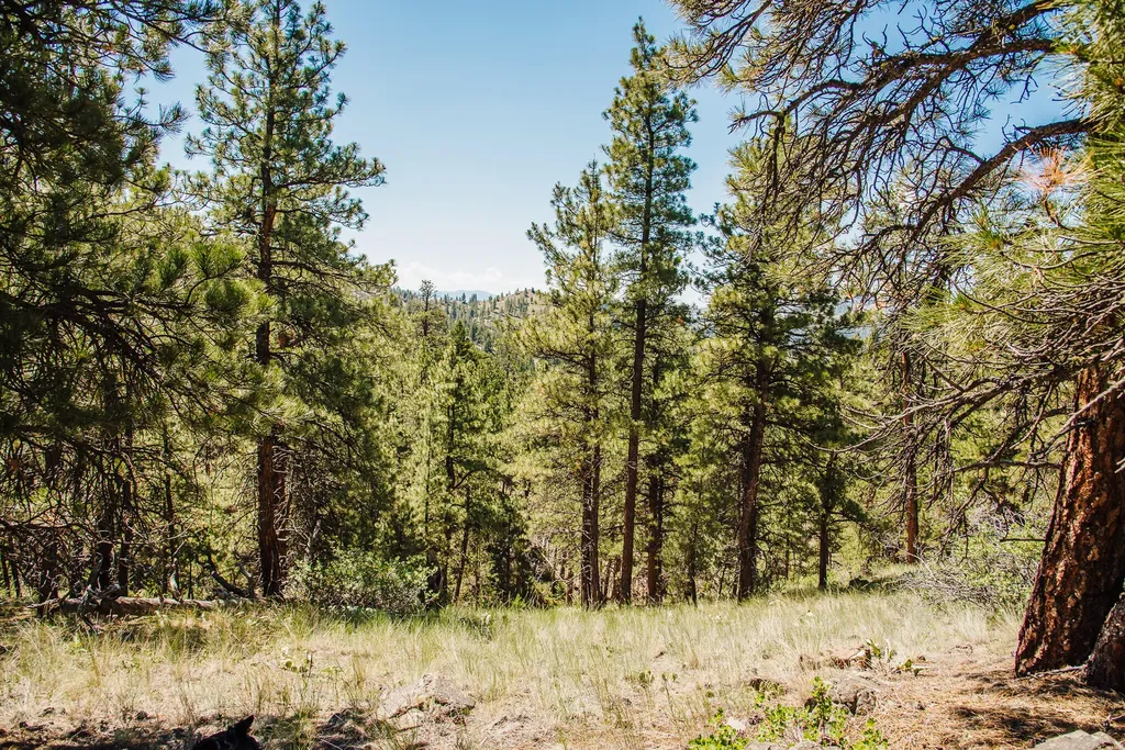Lot 23 Dearborn River Road Cascade MT 59421