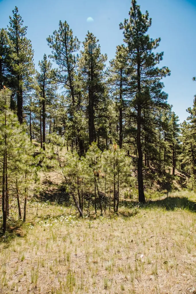 Lot 23 Dearborn River Road Cascade MT 59421
