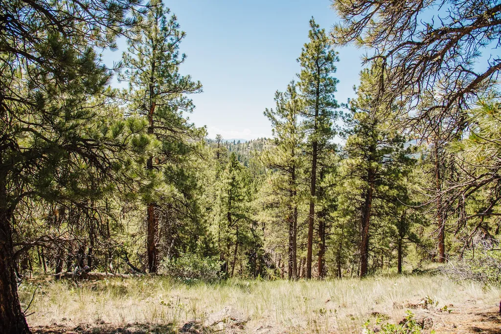 Lot 23 Dearborn River Road Cascade MT 59421