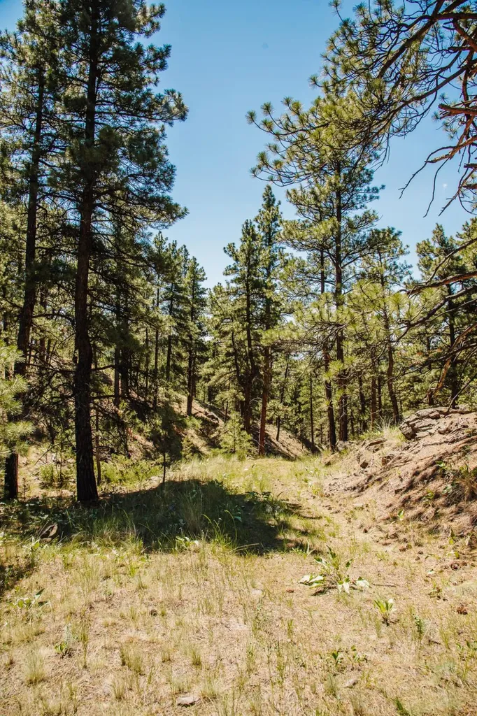 Lot 23 Dearborn River Road Cascade MT 59421
