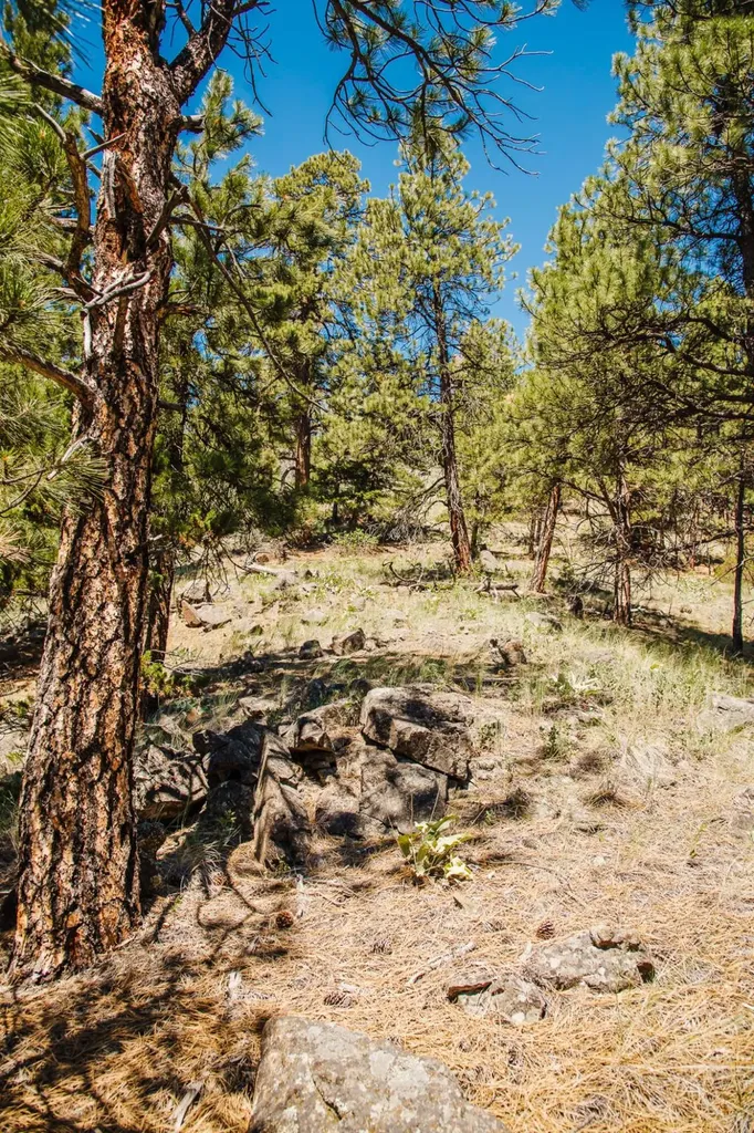 Lot 23 Dearborn River Road Cascade MT 59421