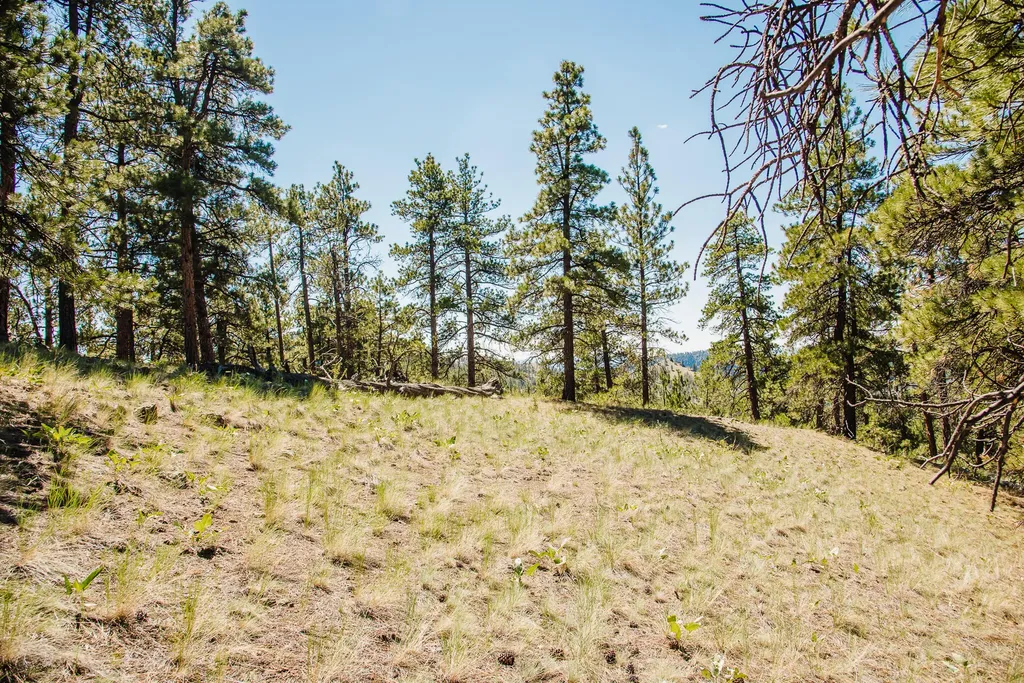 Lot 23 Dearborn River Road Cascade MT 59421