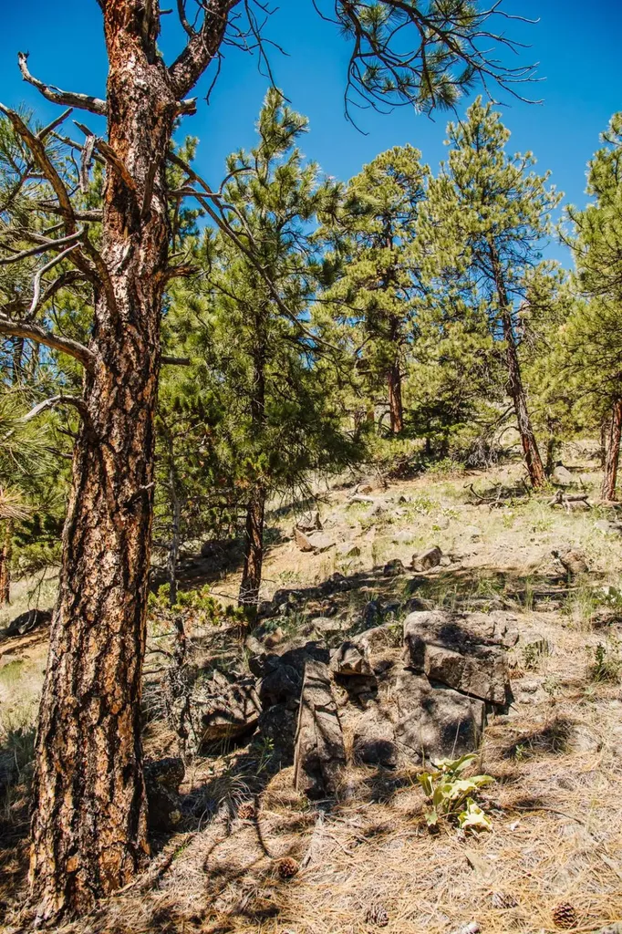 Lot 23 Dearborn River Road Cascade MT 59421