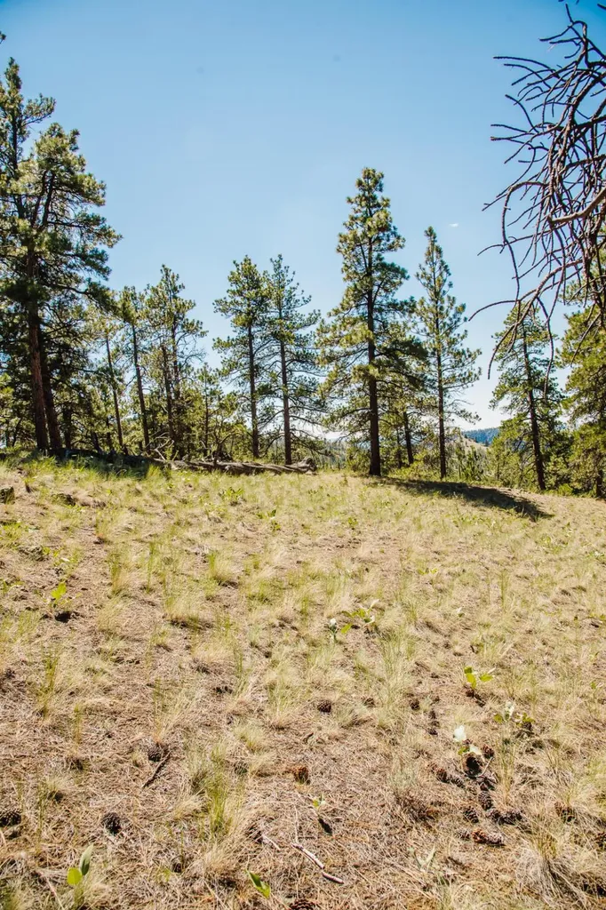 Lot 23 Dearborn River Road Cascade MT 59421