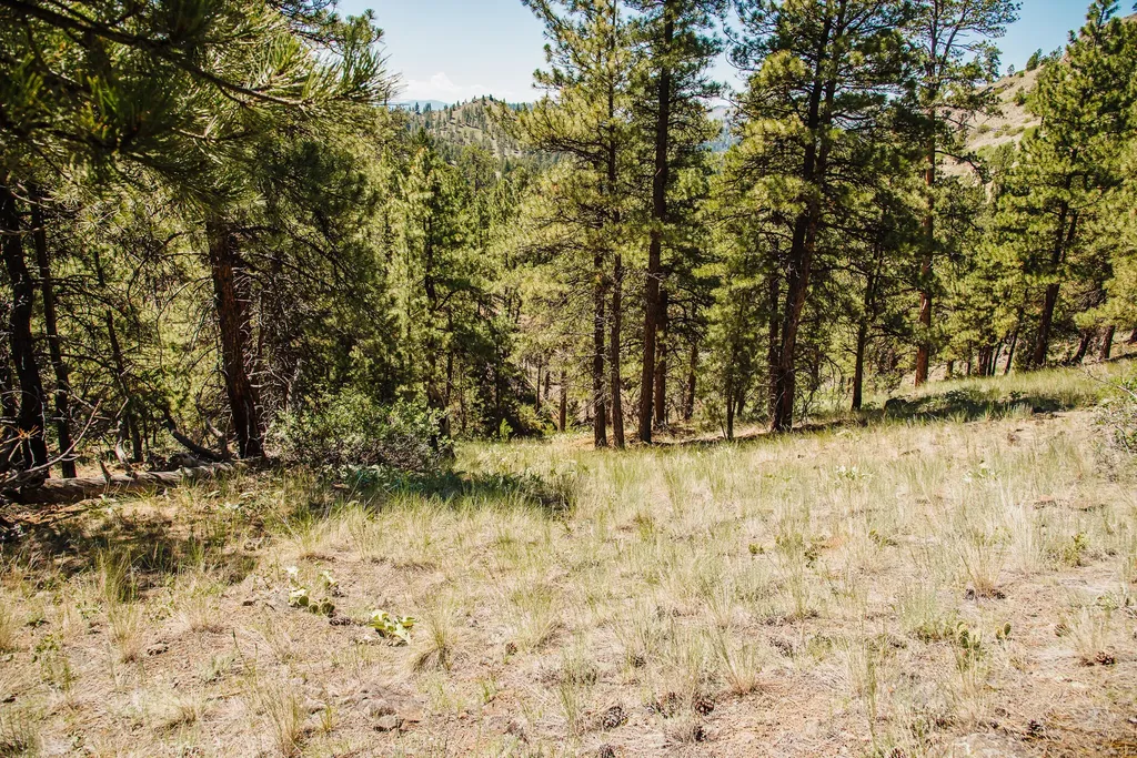 Lot 23 Dearborn River Road Cascade MT 59421