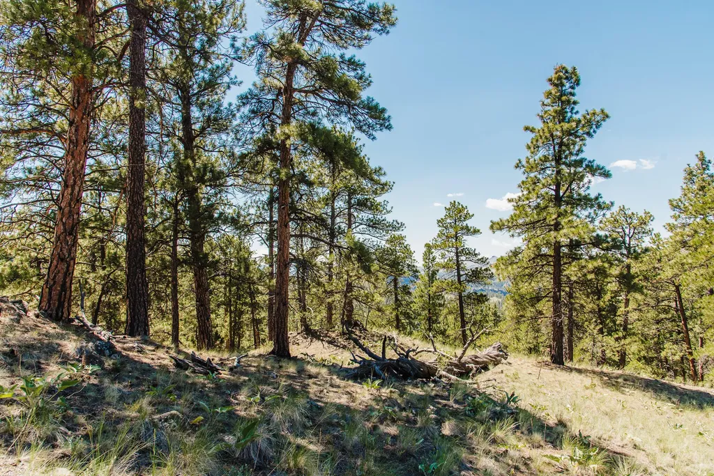 Lot 23 Dearborn River Road Cascade MT 59421