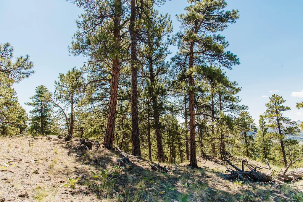 Lot 23 Dearborn River Road Cascade MT 59421