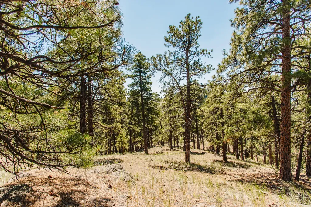 Lot 23 Dearborn River Road Cascade MT 59421