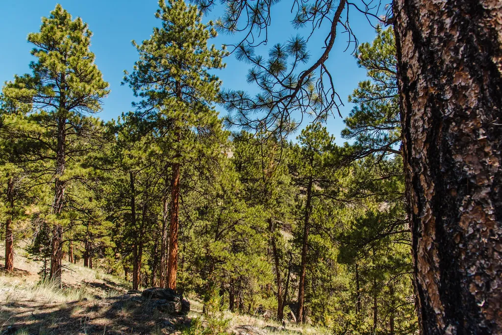Lot 23 Dearborn River Road Cascade MT 59421