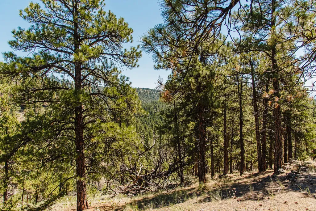 Lot 23 Dearborn River Road Cascade MT 59421