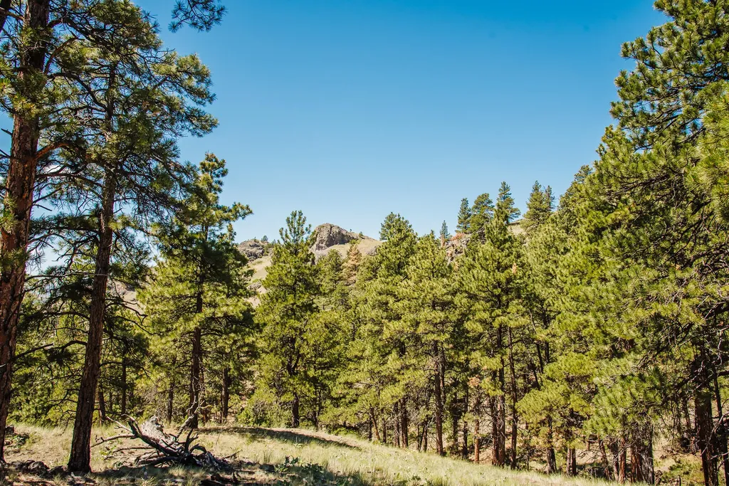 Lot 23 Dearborn River Road Cascade MT 59421