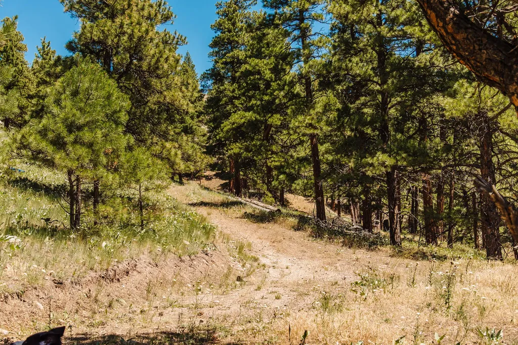 Lot 23 Dearborn River Road Cascade MT 59421