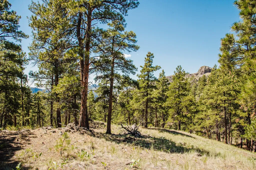 Lot 23 Dearborn River Road Cascade MT 59421