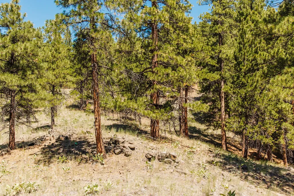 Lot 23 Dearborn River Road Cascade MT 59421
