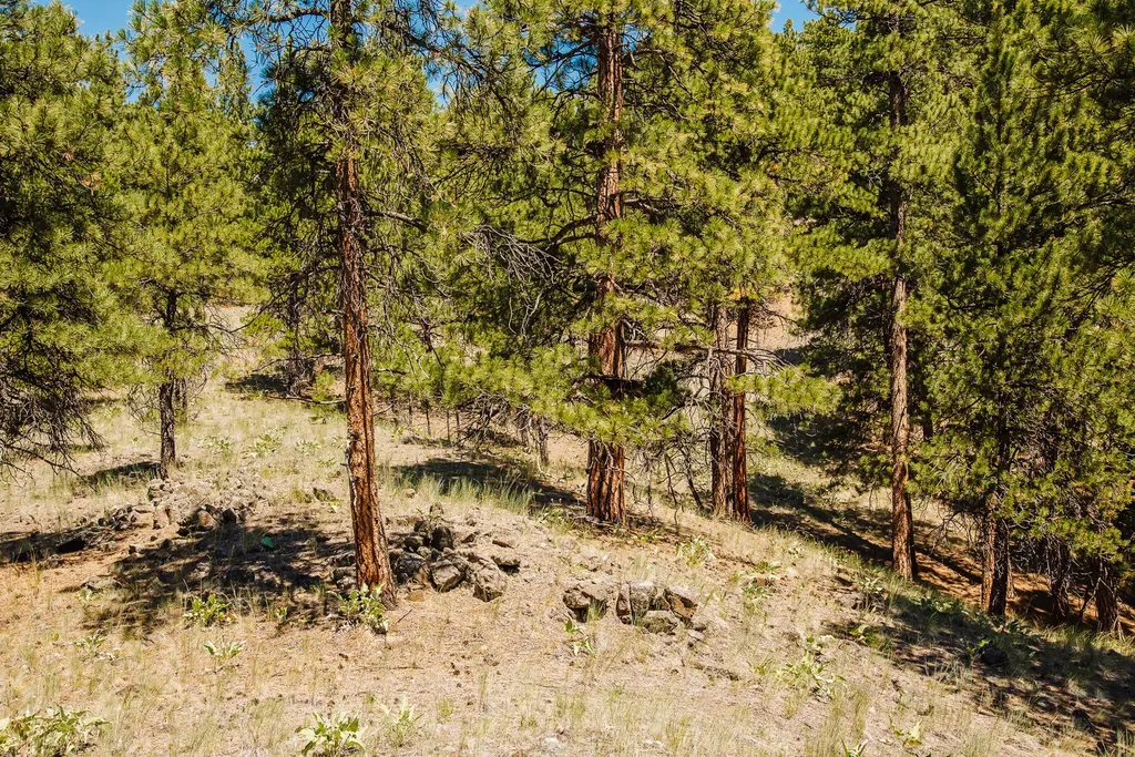 Lot 23 Dearborn River Road Cascade MT 59421