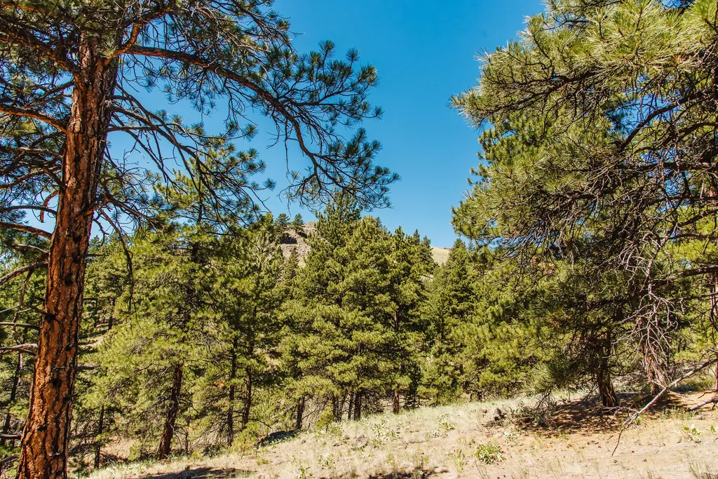 Lot 23 Dearborn River Road Cascade MT 59421