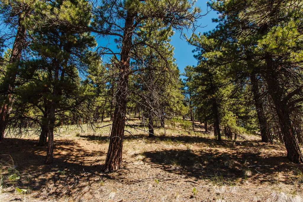 Lot 23 Dearborn River Road Cascade MT 59421