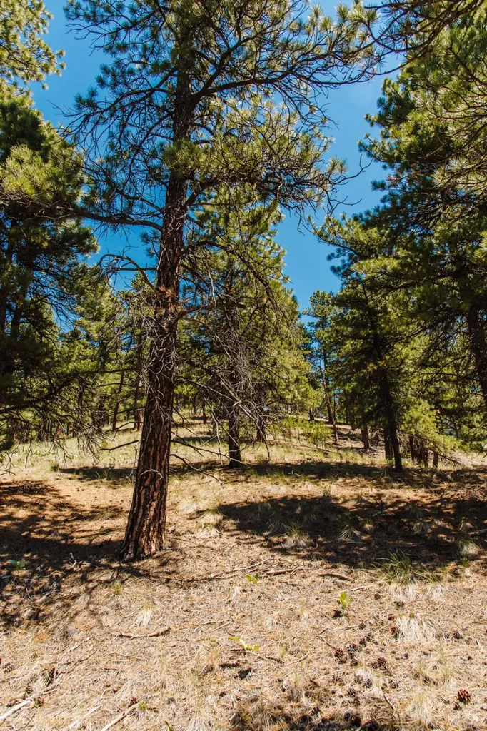 Lot 23 Dearborn River Road Cascade MT 59421