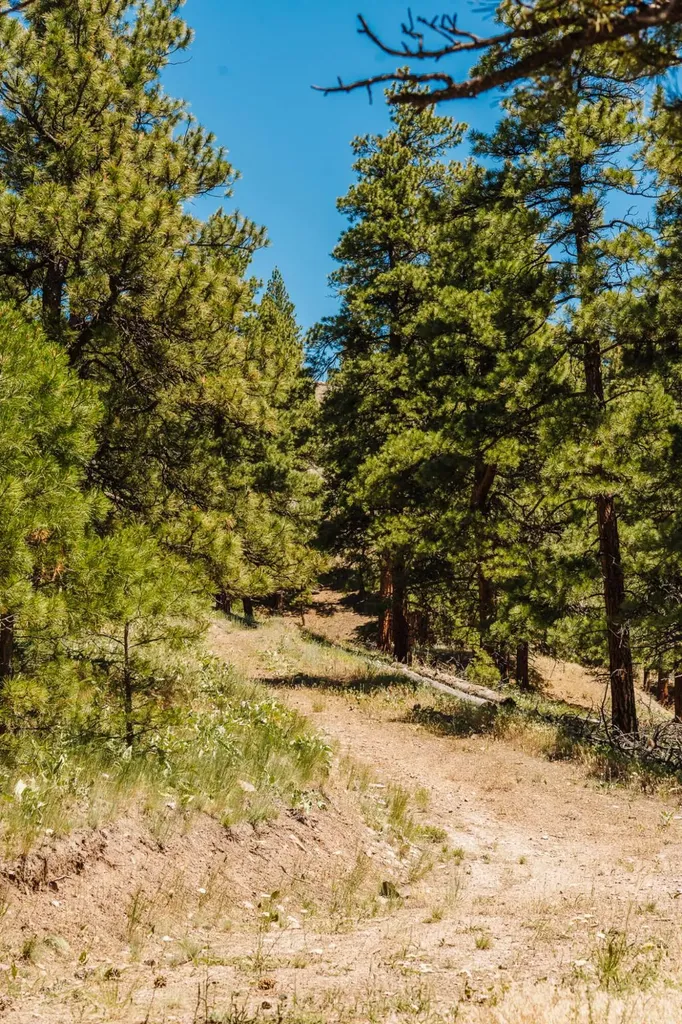 Lot 23 Dearborn River Road Cascade MT 59421