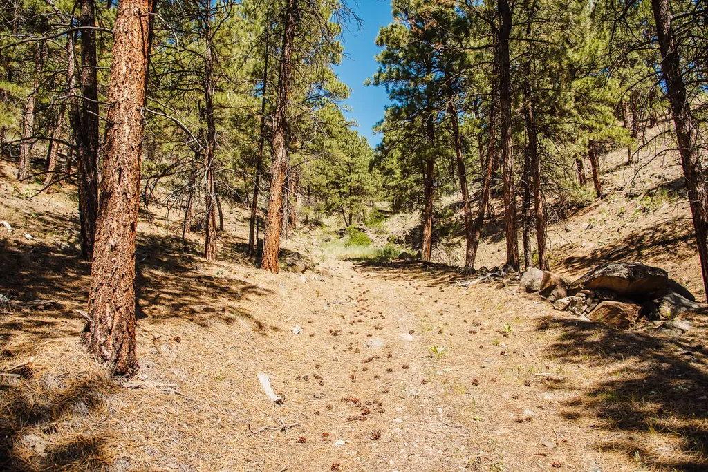 Lot 23 Dearborn River Road Cascade MT 59421