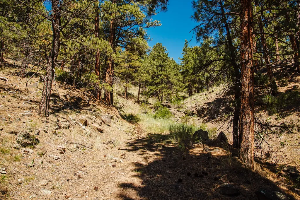 Lot 23 Dearborn River Road Cascade MT 59421