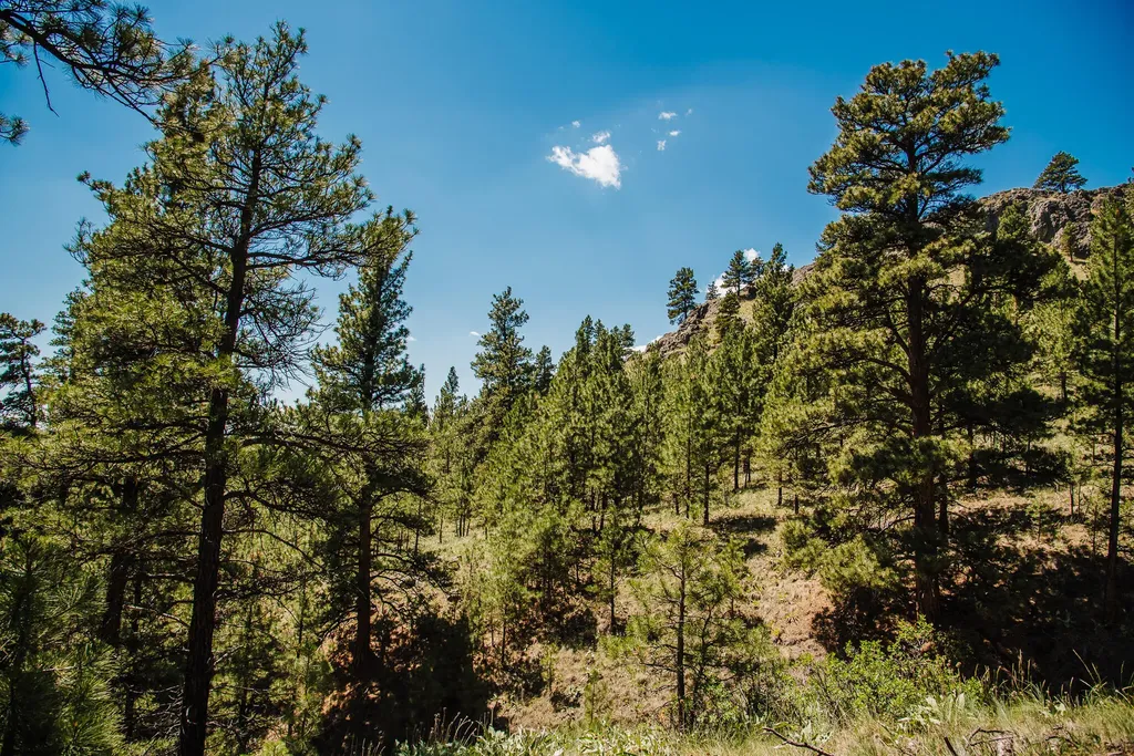 Lot 23 Dearborn River Road Cascade MT 59421