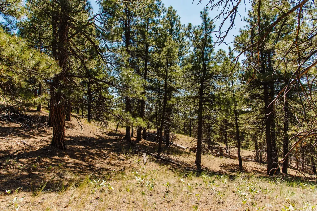Lot 23 Dearborn River Road Cascade MT 59421