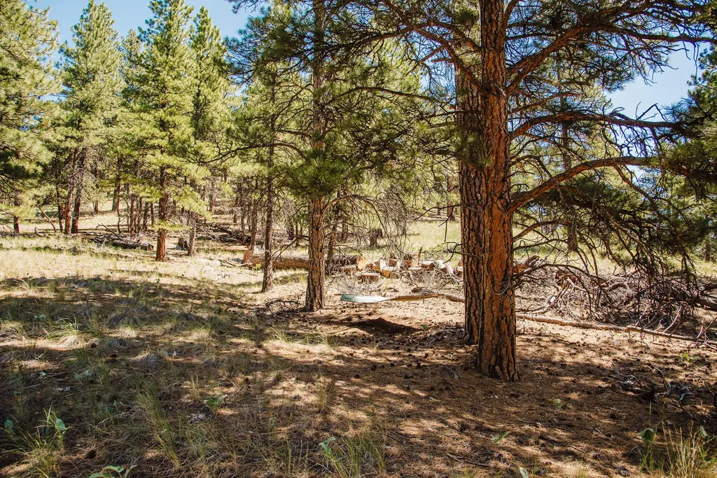 Lot 23 Dearborn River Road Cascade MT 59421