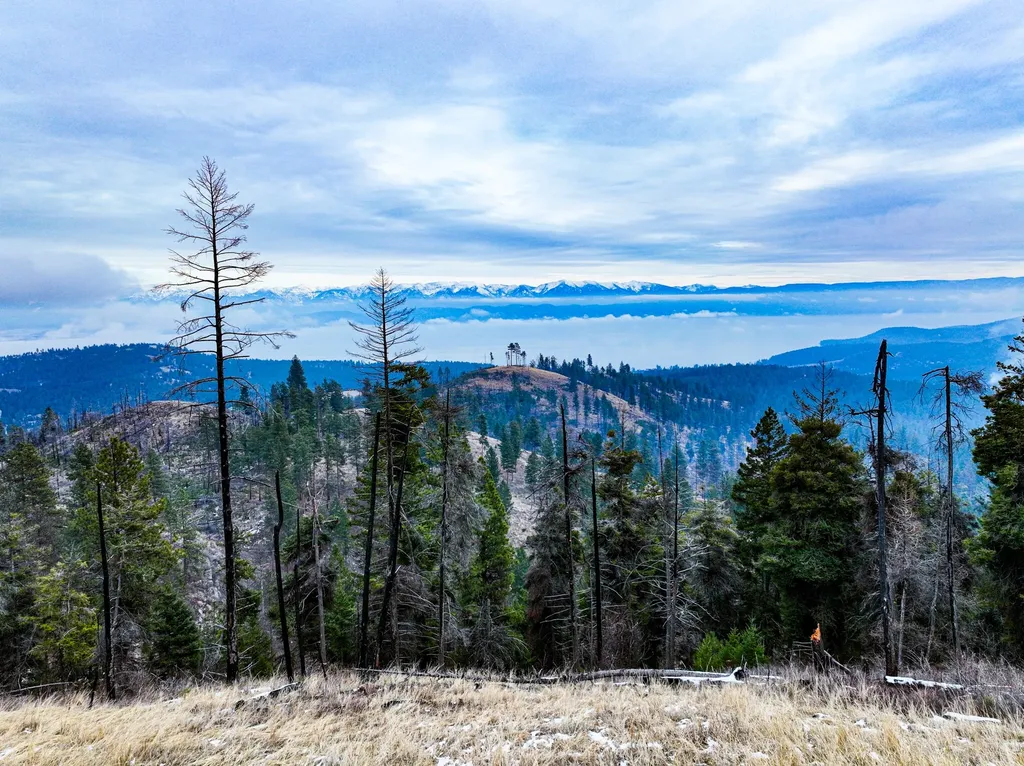 Nhn Blacktail Road Lakeside MT 59922